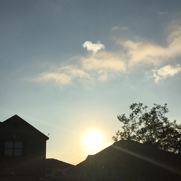 Meet your Posher, Abby - Picture 1 of 1